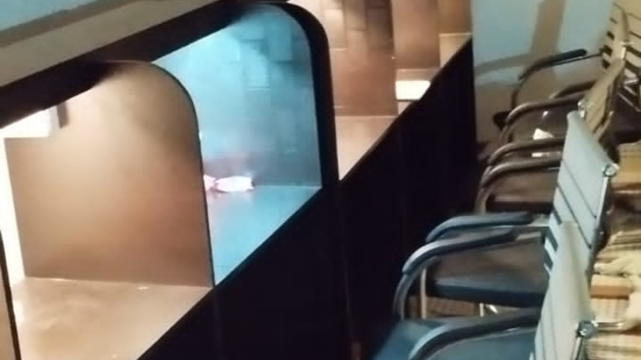 RR Digital Library Cover Image